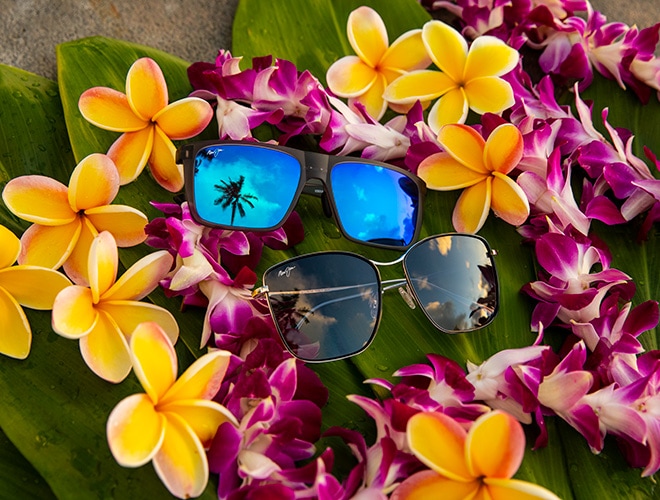 Polarised Sunglasses for Men & Women | Maui Jim®