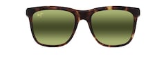 Tokyo Tortoise front view