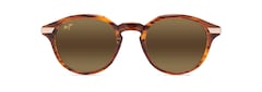Shiny Dark Havana with Gold front view