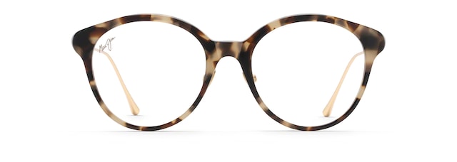 Tokyo Tortoise with Gold temples MJO2222 front view