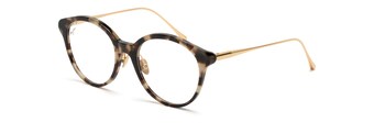 Tokyo Tortoise with Gold temples MJO2222 cart.angle.view