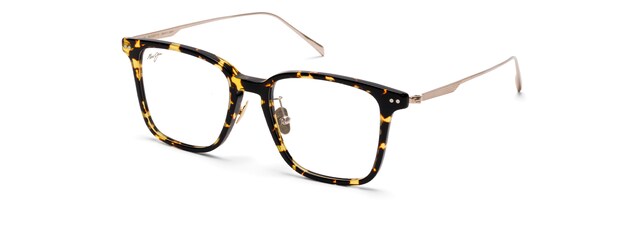 Tokyo Tortoise with Gold Shiny MJO2237 Angle View