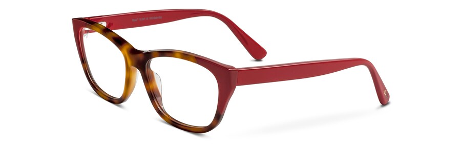 Tortoise with Red MJO2401 angle view