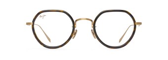 Shiny Gold with Dark Tortoise Acetate Rim MJO2422 front view