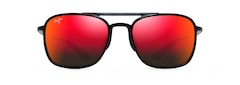 Red and Black Tortoise front view